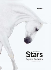 Stars - equine portraits