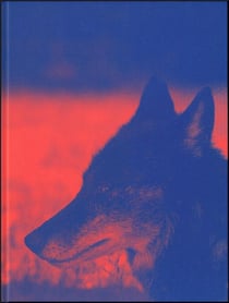 Asta Groting : Das wesen von x