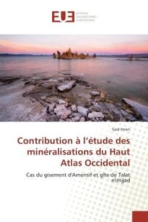 Contribution a l'etude des mineralisations du Haut Atlas Occidental : Cas du gisement d'Amensif et gîte de Talat n'imjjad