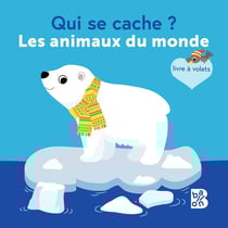 Qui se cache (mini) : Les animaux du monde