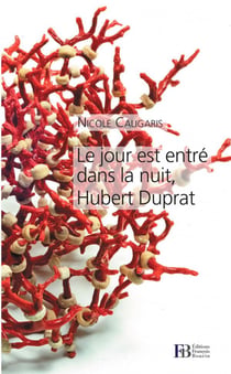 Le jour est entré dans la nuit, Hubert Duprat