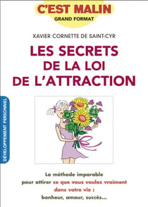 C'est malin grand format : les secrets de la loi de l'attraction