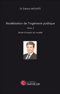 Modélisation de l'ingénierie publique Tome 3