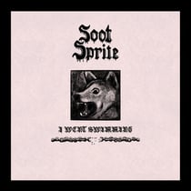 I Went Swimming / Home Among Your Bones