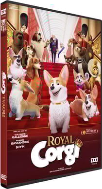 Royal Corgi