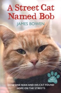A Street Cat Named Bob : How one man and his cat found hope on the streets