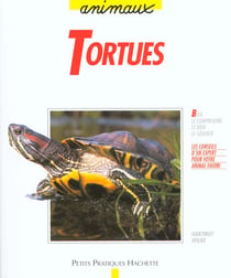 Les tortues