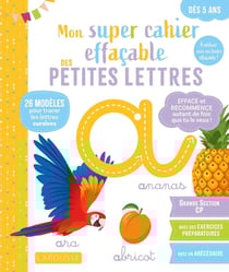 Mon super cahier effaçable des petites lettres - De la Grande section au CP