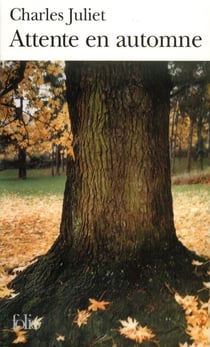 Attente en automne - Maria - turbulences