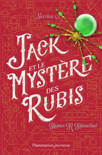 Jack et le mystère des rubis - section 13, t.2
