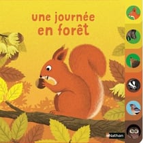 Une journée en forêt
