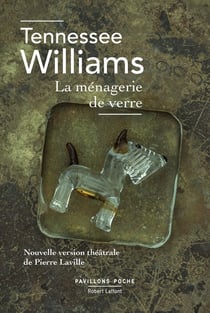 La ménagerie de verre