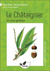 Le châtaignier - un arbre généreux