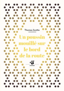 Un poussin mouillé au bord de la route