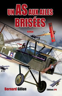 Un as aux ailes brisées