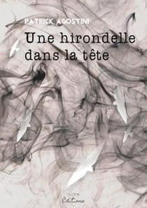 Une hirondelle dans la tête
