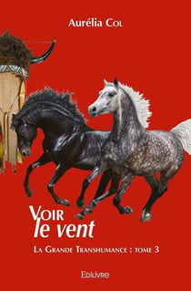Voir le vent - suite des aventures de pauline et salty : la grande transhumance installation a rushv