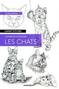 Carnet d'études - j'apprends à dessiner les chats
