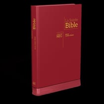 Bible neg 1979 à très gros caractères similicuir bordeaux