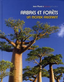 Arbres et forêts - un monde fascinant