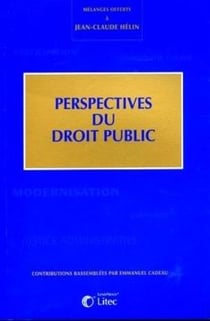 Perspectives du droit public