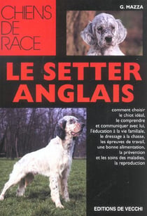 Setter anglais