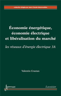 Économie énergétique, économie électrique et libéralisation du marché : les réseaux d'énergie électrique 3A