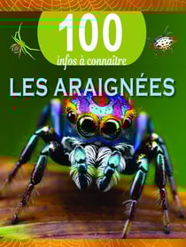 100 infos à connaître : Les araignées