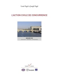 L'ACTION CIVILE DE CONCURRENCE