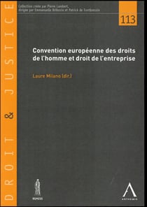 CONVENTION EUROPÉENNE DES DROITS DE L'HOMME ET DROIT DE L'ENTREPRISE