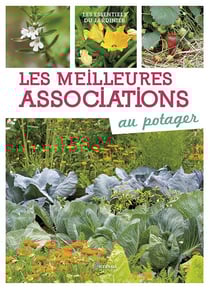 Les meilleures associations au potager
