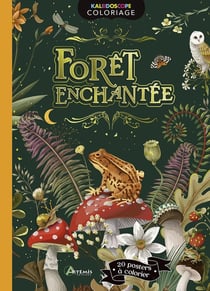 Foret enchantee