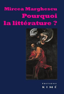 Pourquoi la littérature?