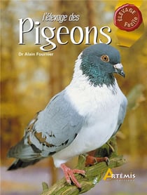 L'elevage des pigeons