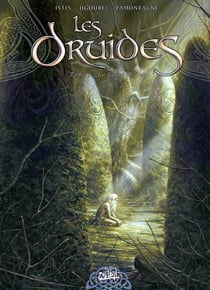 Les druides Tome 3 : la lance de Lug