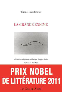 La grande enigme - 45 haikus