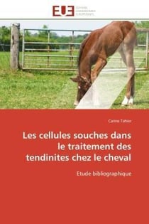 Les cellules souches dans le traitement des tendinites chez le cheval - etude bibliographique