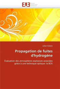Propagation de fuites d'hydrogène - évaluation des atmosphères explosives associées grâce à une technique optique - la BOS
