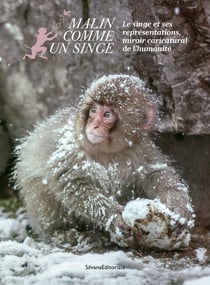 Malin comme un singe : le singe et ses représentations, miroir caricatural de l'humanité