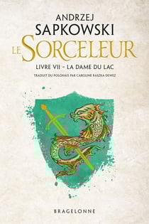 The Witcher (le sorceleur) Tome 7 : la dame du lac