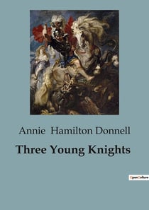 Three Young Knights : Adventures of Three Brothers on a Quest for Chivalry
