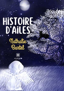 Histoire dailes