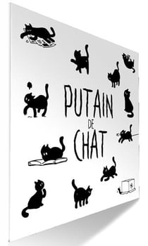 Putain de chat - coffret vol.1 - t.1 a t.4