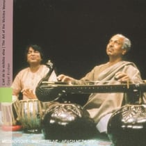 Inde du nord : Gopal Krishan - l'art de la vichitra vina
