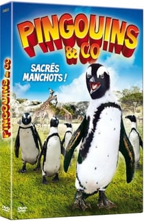 Pingouins & Co