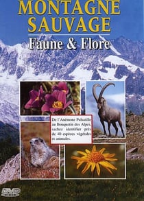 Montagne sauvage - Faune & Flore