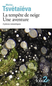 La tempête de neige - une aventure - 2 pièces romantiques