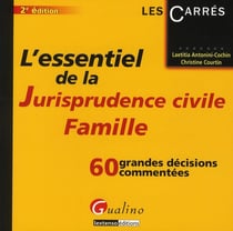L Essentiel De La Jurisprudence Civile, Famille   60 Grandes Decisions Commentees