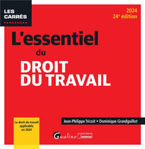 L'essentiel du droit du travail : Le droit du travail applicable en 2024 (édition 2024)