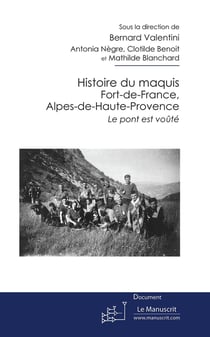 Histoire du maquis Fort-de-France, Alpes-de-Haute-Provence : Le pont est voûté